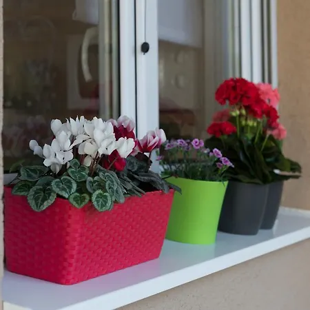 Room&studio Just Enjoy Сплит